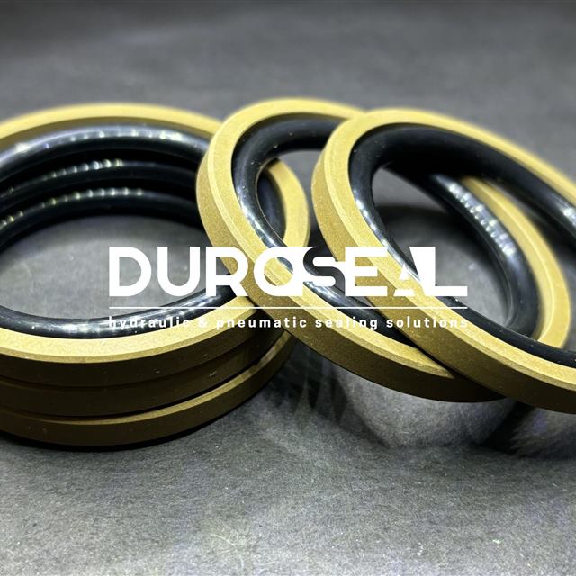SPGO Piston Seal